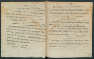 dziennik dep rad-1813-19-00002